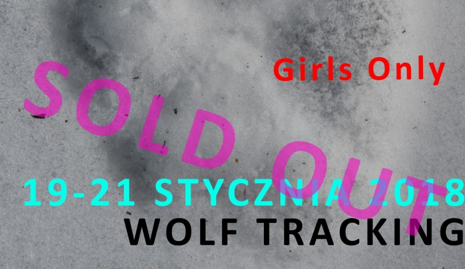 Girls only - wolf tracking
